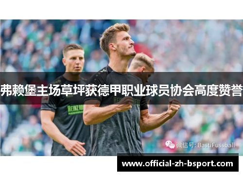 弗赖堡主场草坪获德甲职业球员协会高度赞誉 弗赖堡主场草坪获德甲职业球员协会高度赞誉