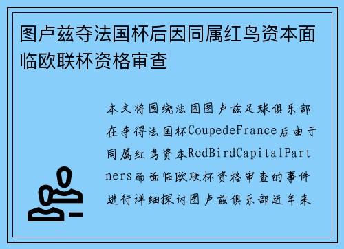 图卢兹夺法国杯后因同属红鸟资本面临欧联杯资格审查 图卢兹夺法国杯后因同属红鸟资本面临欧联杯资格审查