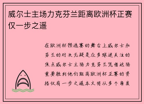 威尔士主场力克芬兰距离欧洲杯正赛仅一步之遥 威尔士主场力克芬兰距离欧洲杯正赛仅一步之遥